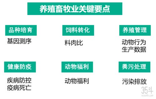 農(nóng)業(yè)食品技術(shù)創(chuàng)新趨勢與價(jià)值鏈重塑 技術(shù)服務(wù)的核心驅(qū)動力